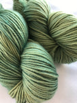 Grassy meadows worsted weight (115 grams)